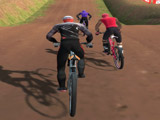 Игра Гонки на Велосипедах 3Д